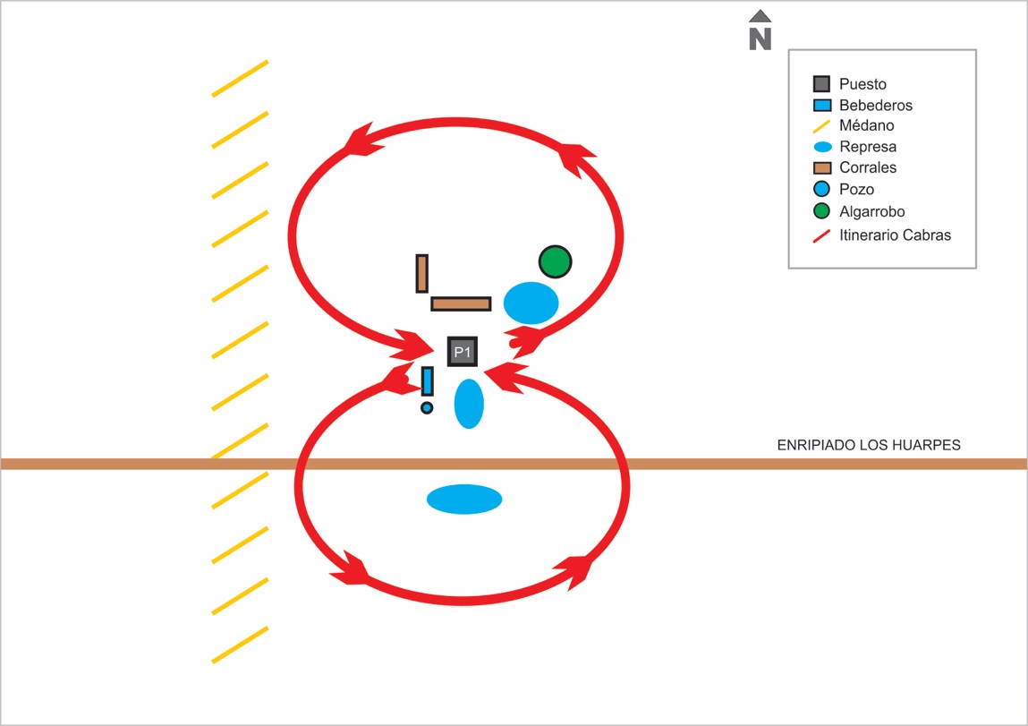 Itinerarios cabras en verano