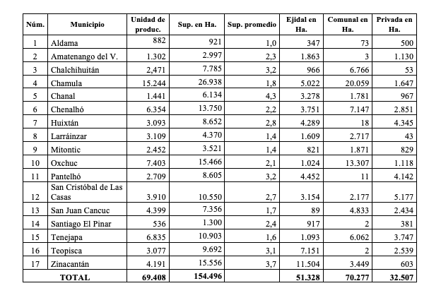 Estructura agraria y tenencia de la tierra en la región
Altos, 2007