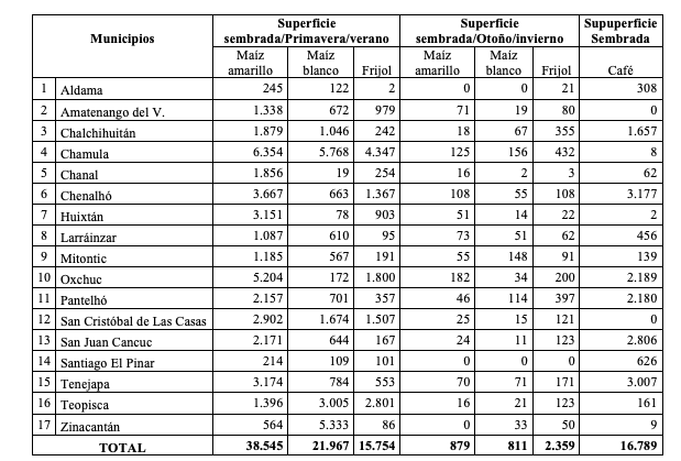 Superficie destinada a los cultivos de maíz, frijol y
café, por municipio, 2007