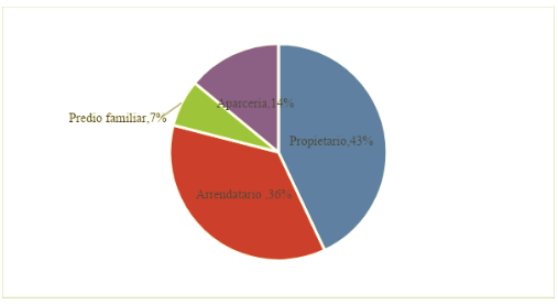 Figura 5. Tenencia de la tierra de los productores de fríjol objeto de estudio. 