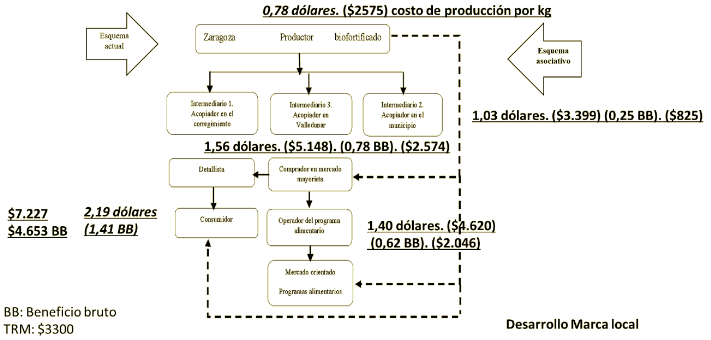 Figura 6. Cadena de suministro de fríjol Zaragoza para el corregimiento San José de Oriente y propuesta de encadenamiento para el fríjol biofortificado en ciclos cortos agroalimentarios.