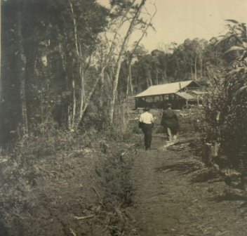 Serraria de Emílio Bieger, 1953.