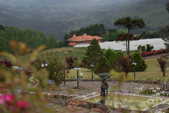 Fotografia com vista
parcial do paisagismo na vinícola Villa Francioni, com destaque para as
espécies de árvores, arbustos e flores exóticas entre campos e araucárias
nativas (ao fundo). São Joaquim (SC), 28 nov. 2022.