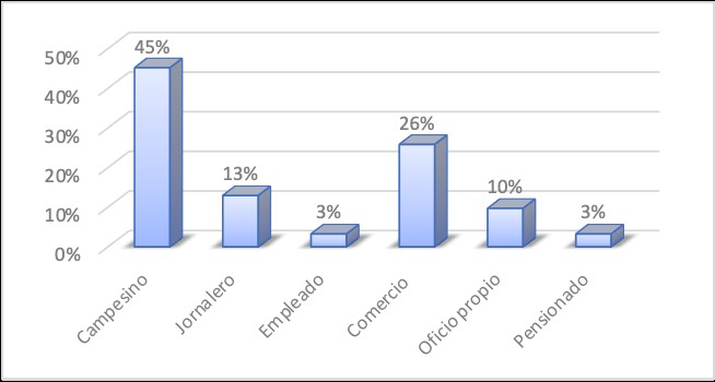 Ocupación laboral de
jefes(as) de familia