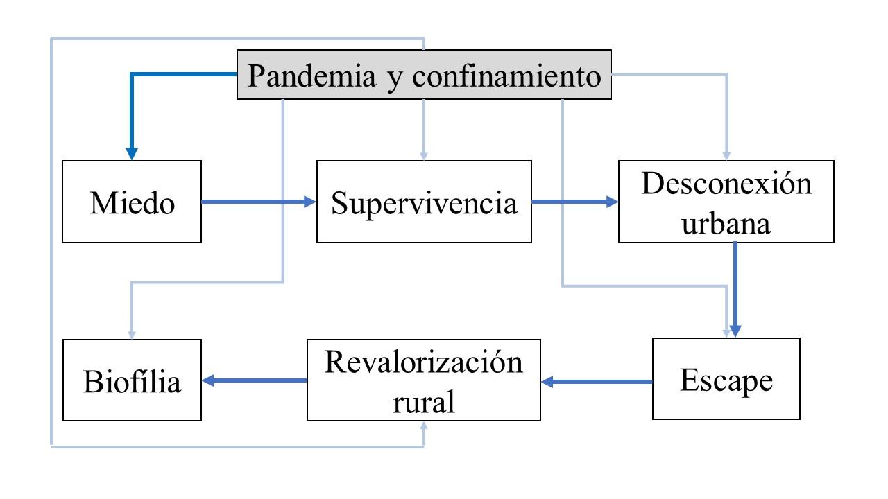 Relaciones y conexiones de los elementos de análisis