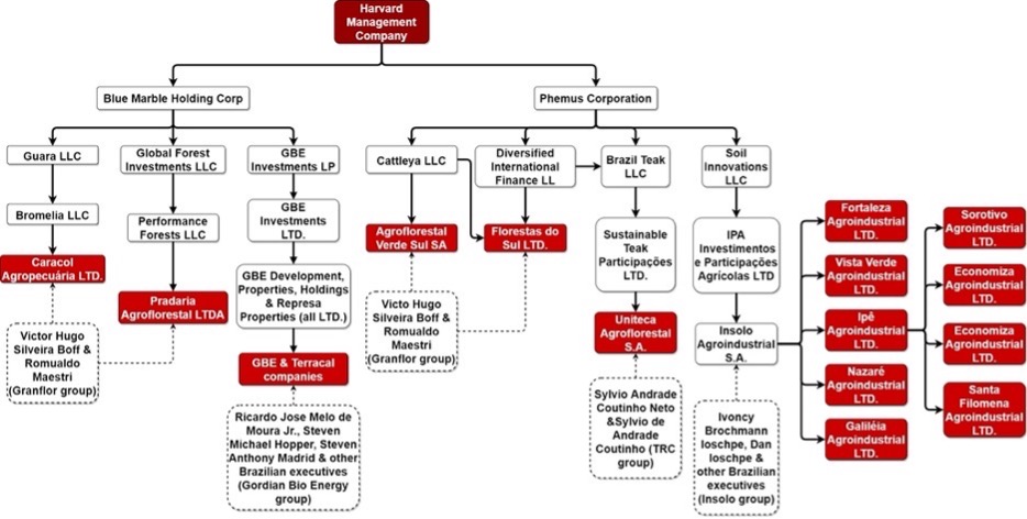 Organograma demonstrando a rede de empresas formada
pelos investimentos em recursos naturais da HMC no Brasil, julho de 2018