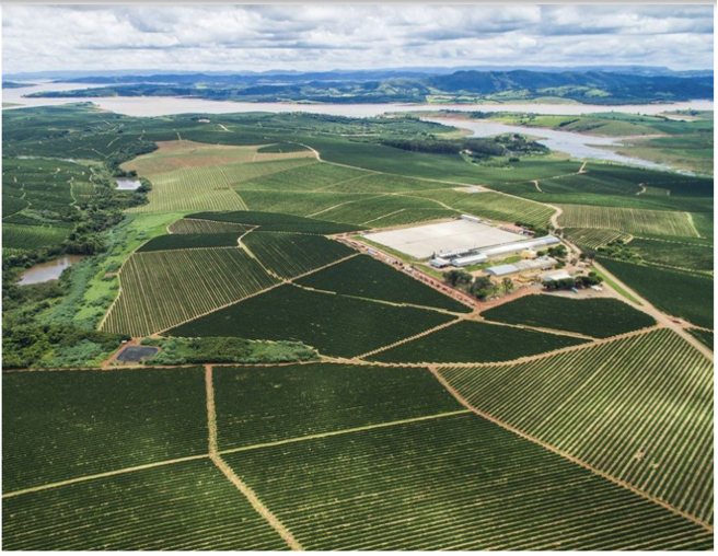 Vista aérea da Fazenda Conquista da Ipanema Coffees,
no município de Alfenas, sul de Minas Gerais 

 