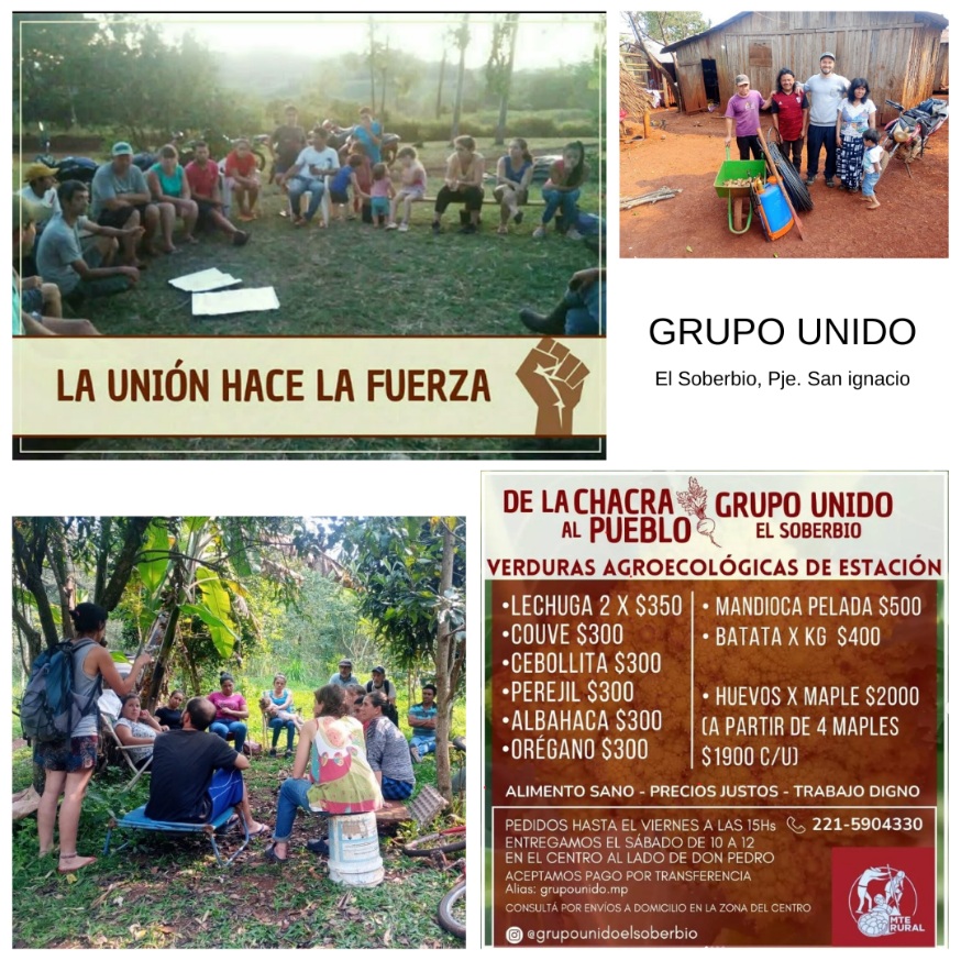 Grupo Unido- MTE