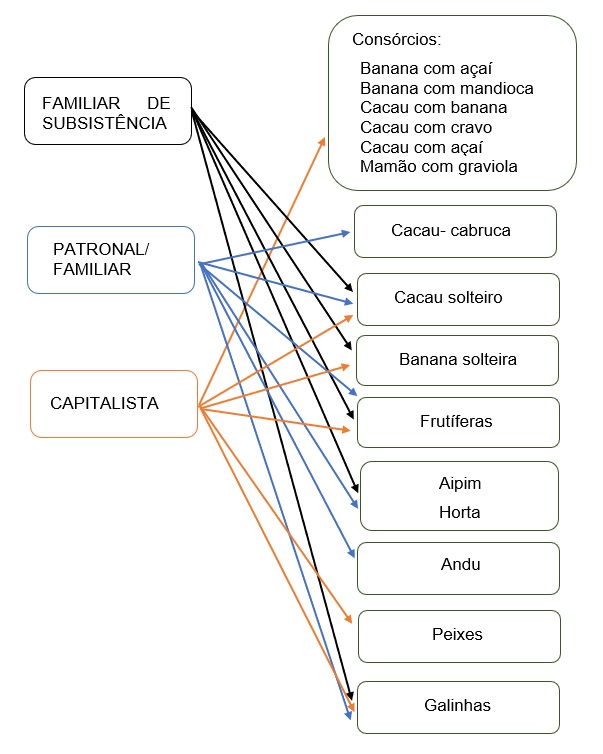 Tipos de sistemas de produção entre as categorias de
produtores.