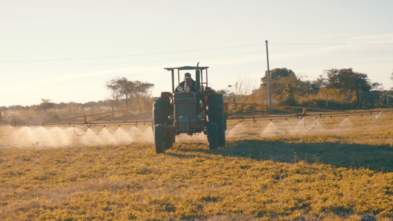 Hercilia (2018). Capacitación, producción y aplicación de biofertilizante
agroecológico.